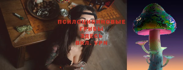 мяу мяу кристалл Бородино